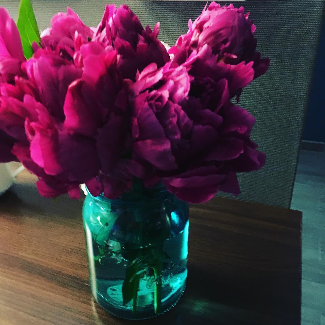 My friend @stephaniehowell brought me these gorgeous peonies yesterday. Their beauty and scent were amazing